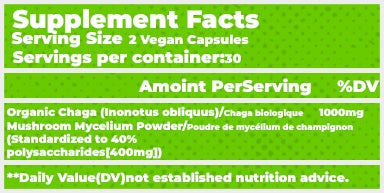 Fermented Mushroom Blend with Prebiotics & Vitamin C